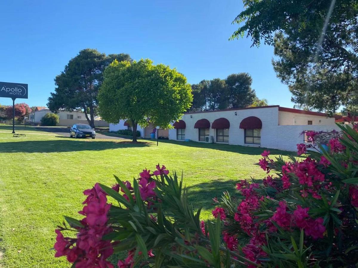 Apollo Motel Parkes Exterior photo